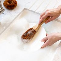 Natural Elements Coconut Dish Brush